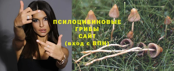 MDMA Premium VHQ Кинешма